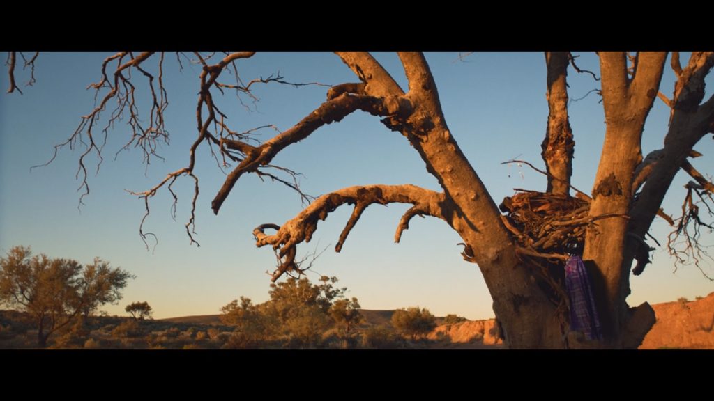 Cargo Ending Explained + What Caused The Zombie Apocalypse