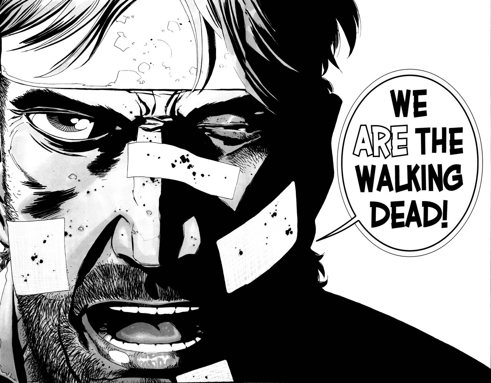 THe Walking Dead Volume 4 Graphic Novel Review