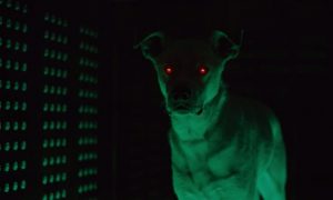 Dc Titans Post Credits Scene