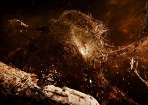 Love death and robots beyond the aquila rift ending explained