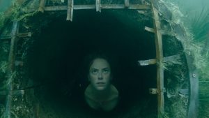 Crawl Movie Plot Breakdown