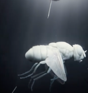 Westworld opening credits fly