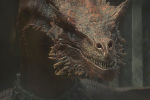 HOUSE OF THE DRAGON Every Dragon Explained